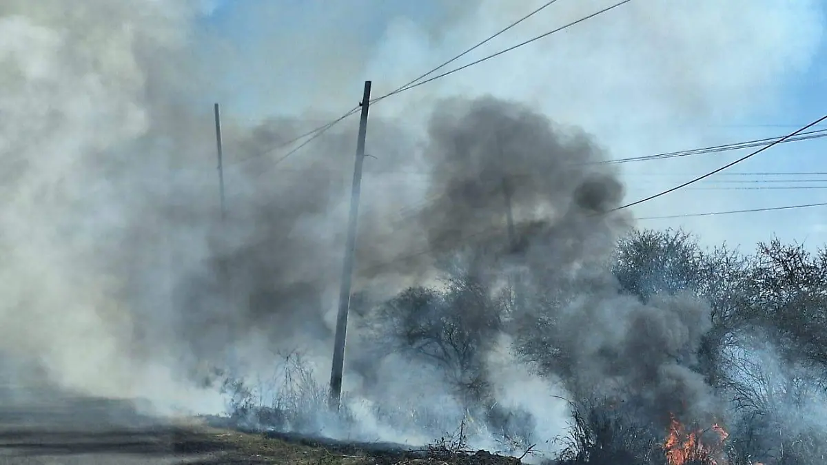 CUERAMARO Incendios forestales (4)