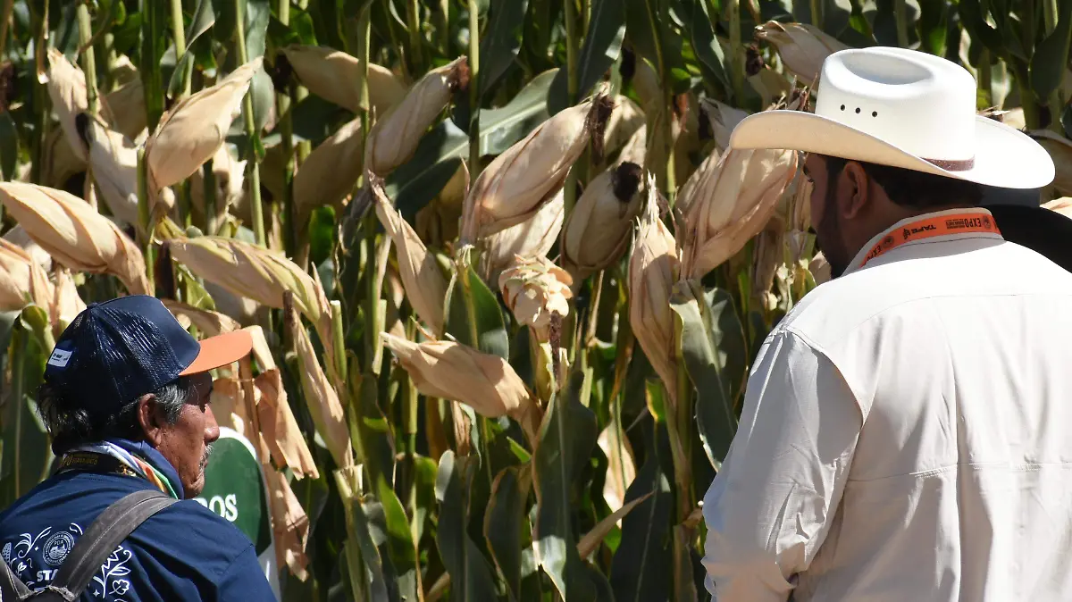 Campo Jesus Gutierrez El Sol de Irapuato (1)