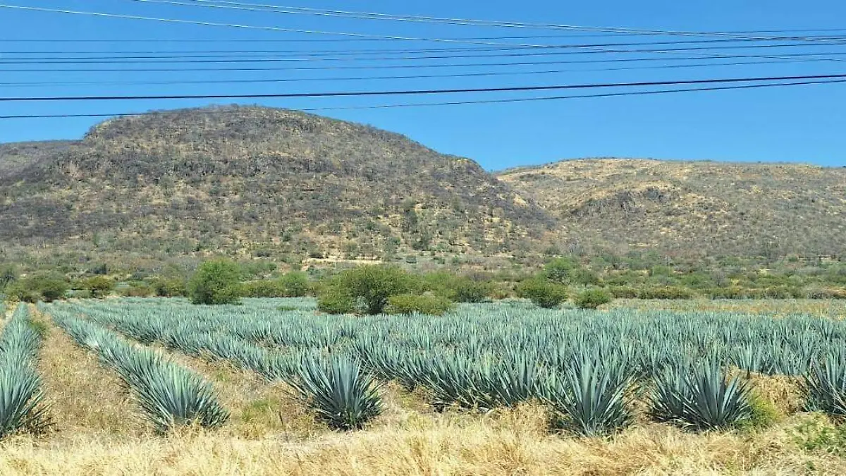 HUANIMARO Pc Incendios forestales (1)