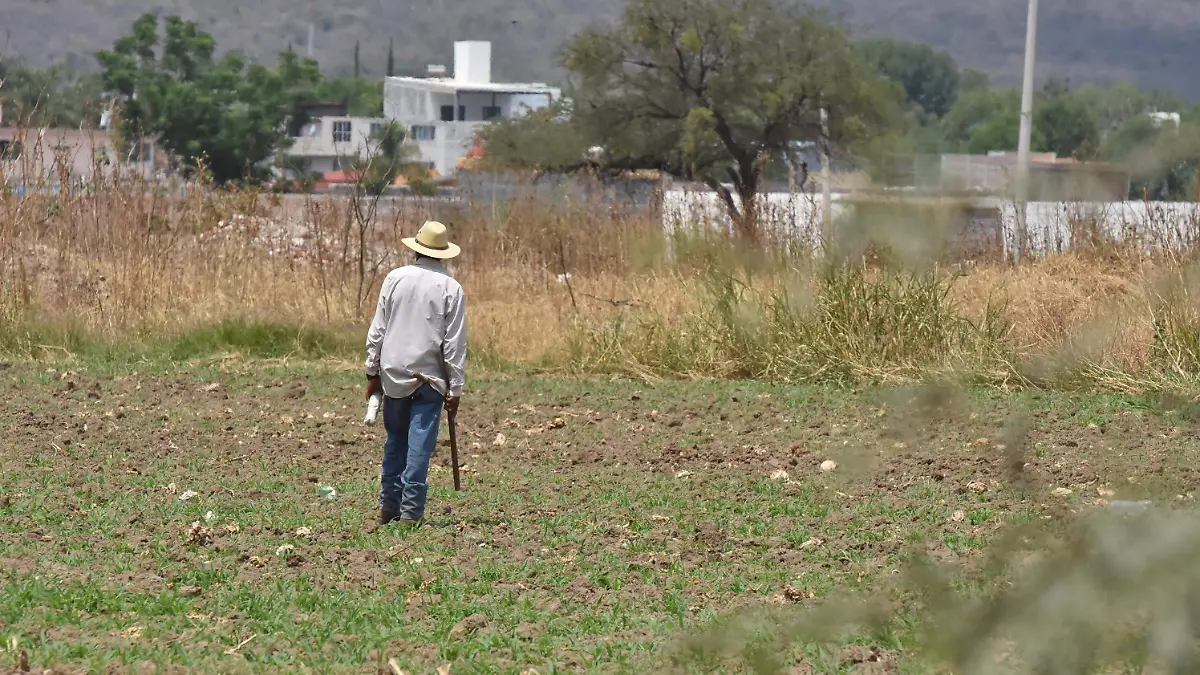 Avanza Dirección de Derechos Humanos