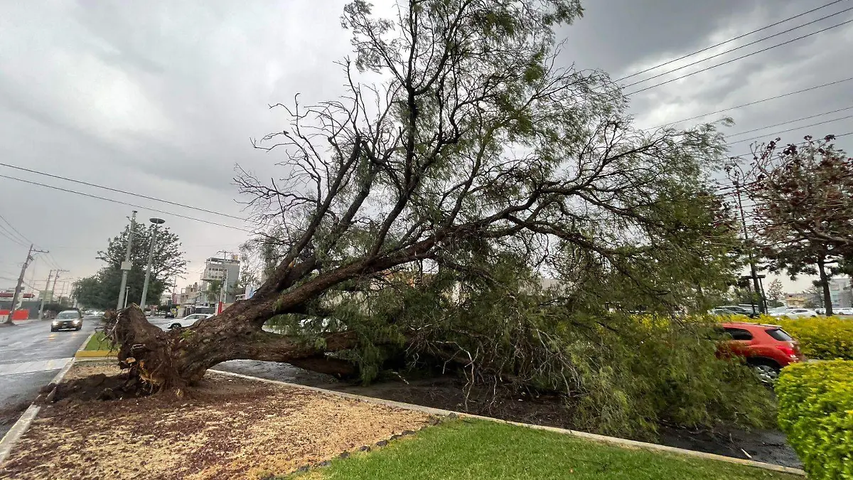 b51784e3-ce95-45d0-a4f2-33358ecf3280