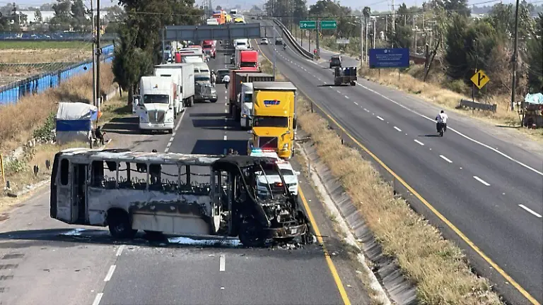 incendios el mencho (2)
