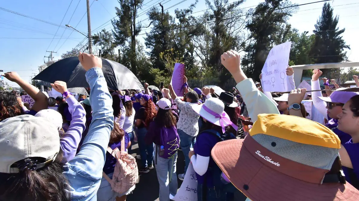 WhatsApp Image 2026-03-08 at 15.45.59