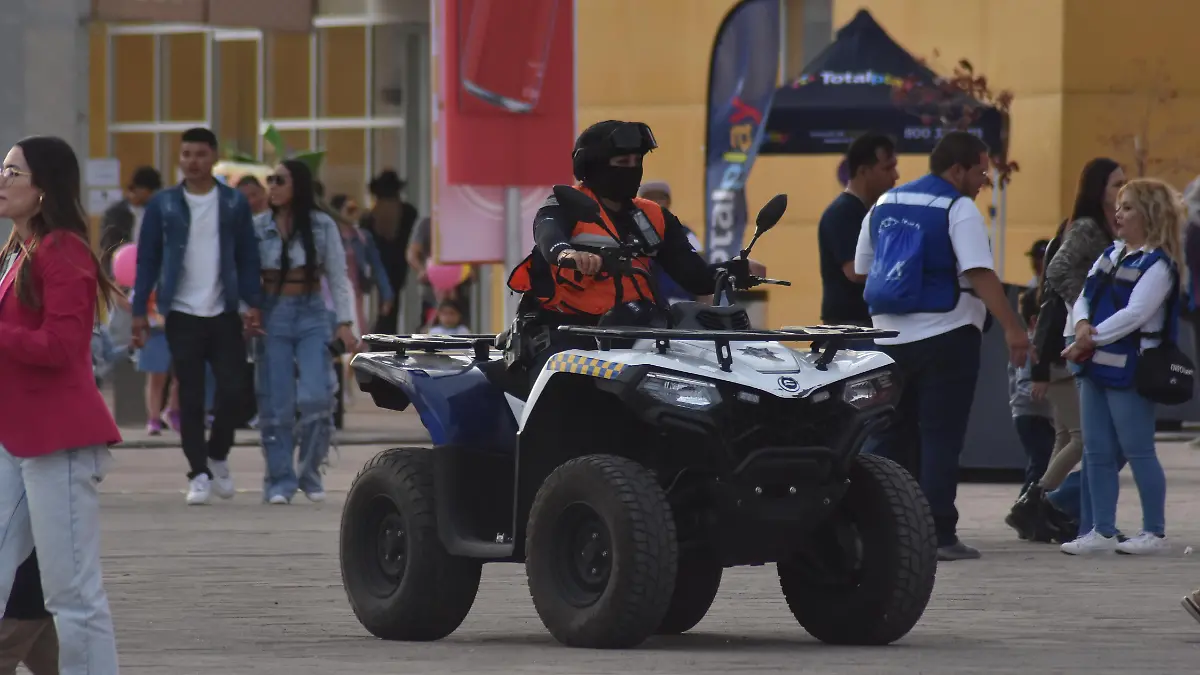 Seguridad feria (1)