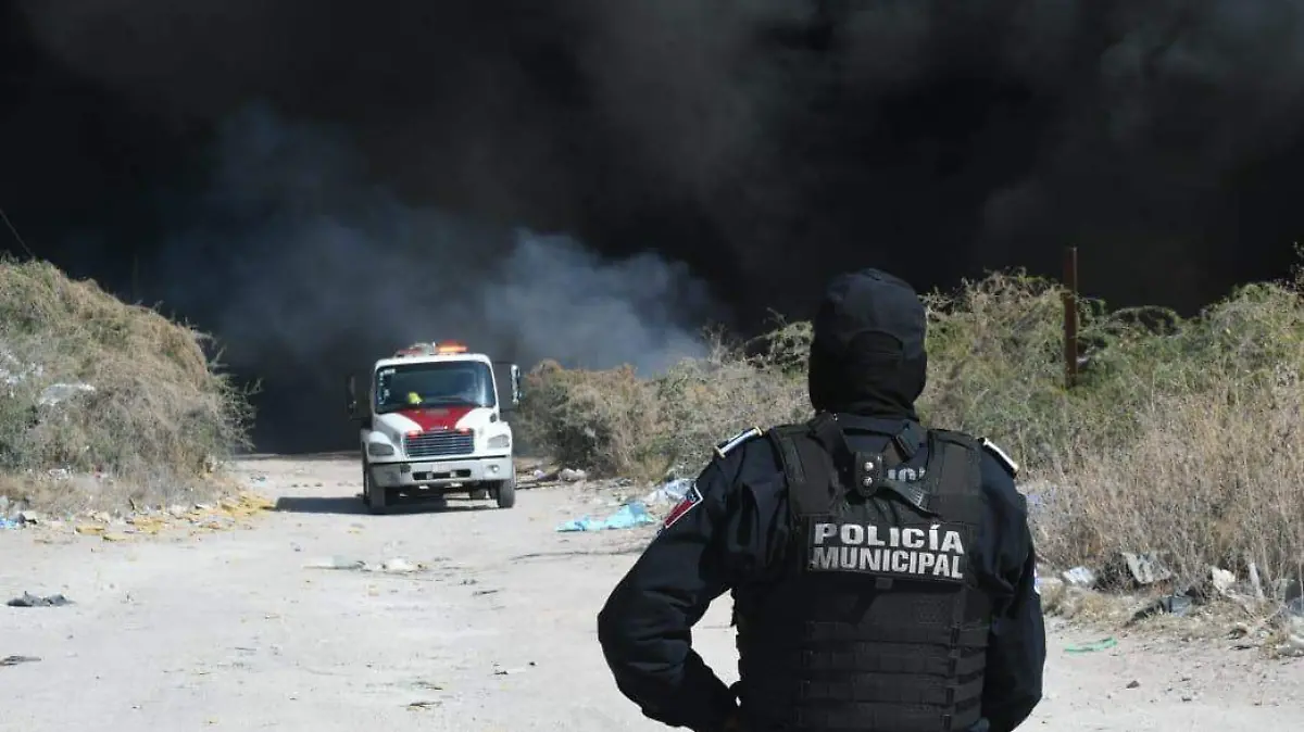 WhatsApp Image 2026-03-10 at 16.59.10