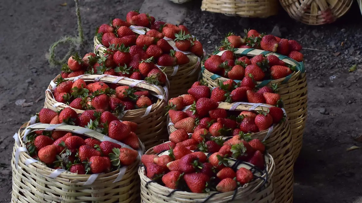 MERCADO DE LA FRESA. EL SOL DE IRAPUATO (1)