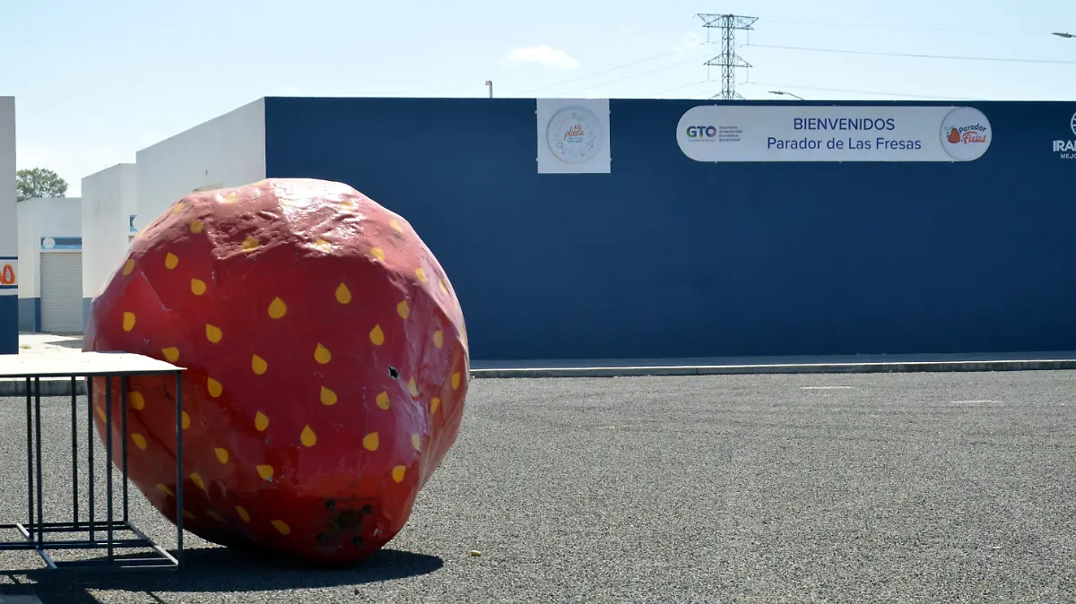 Mercado-de-la-Fresa-en-Irapuato