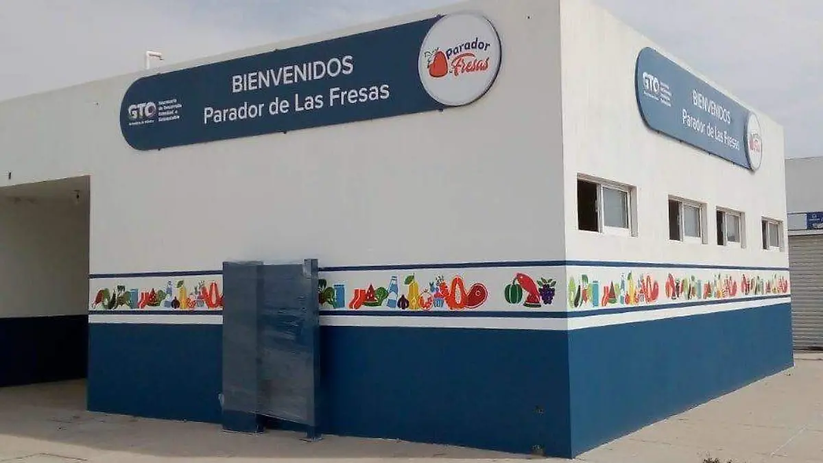 Mercado-de-la-Fresa-en-Irapuato