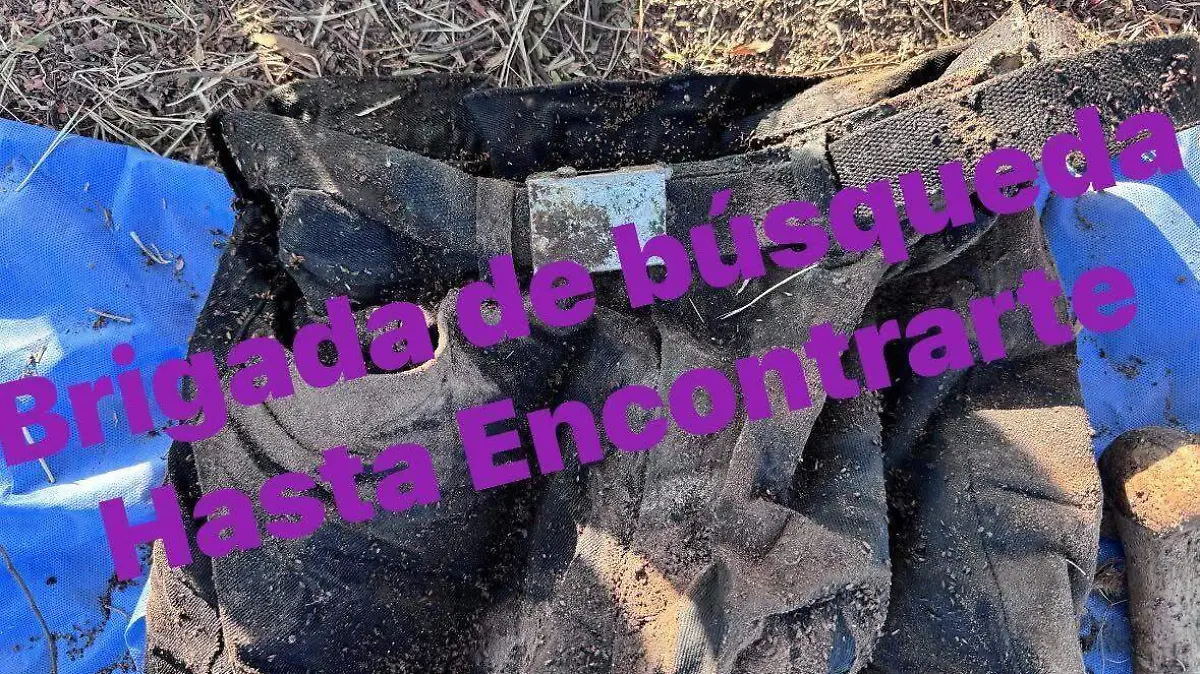 70616d65-0408-4045-aa7a-021e056a3c82