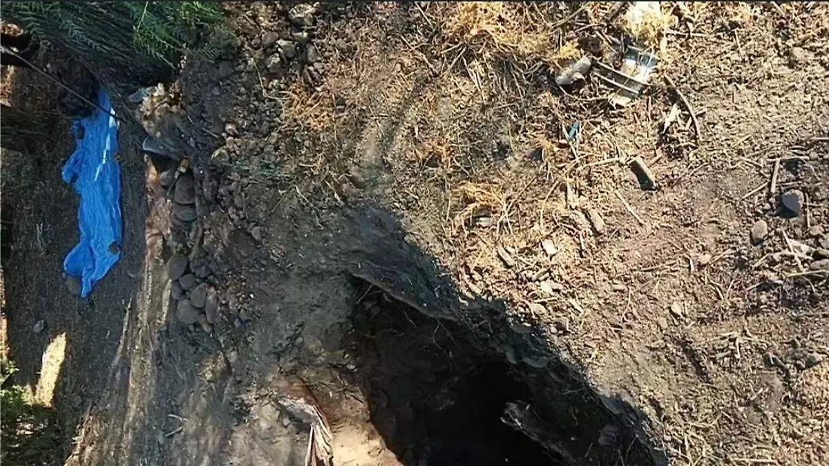 El-cuerpo-del-hombre