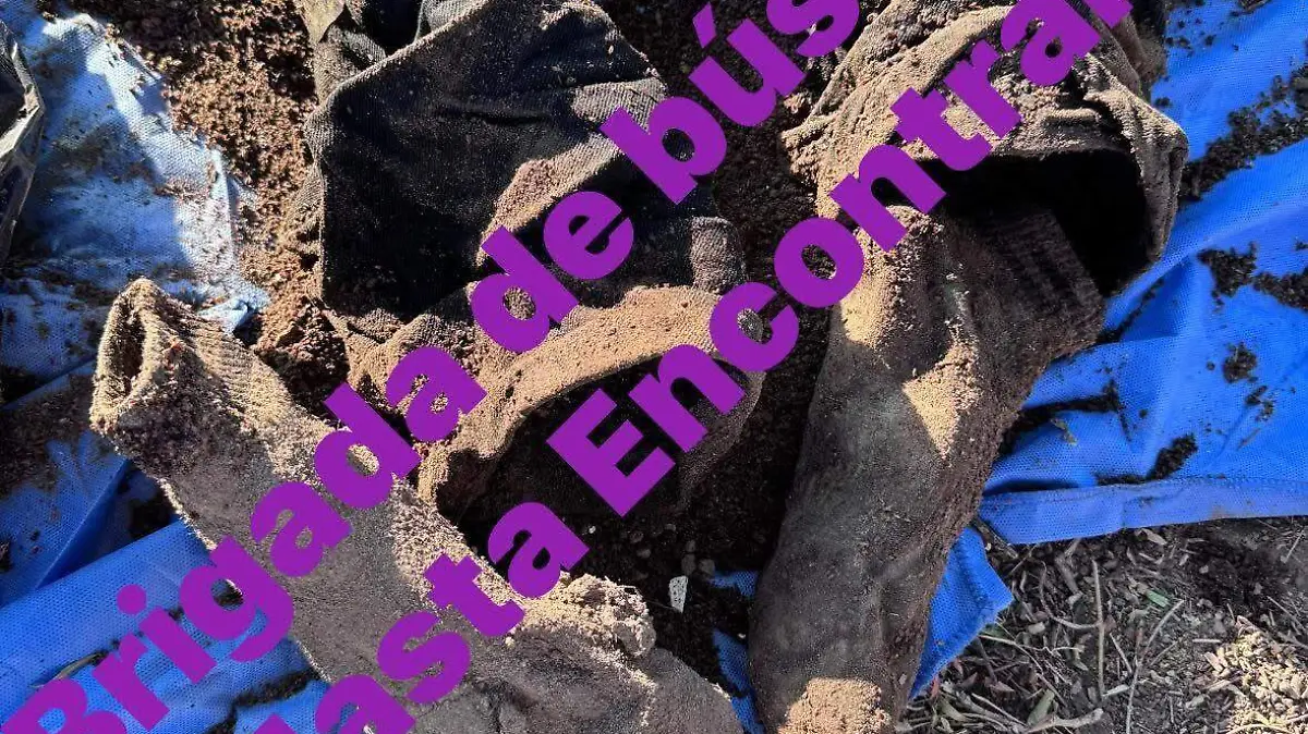 Integrantes-del-colectivo