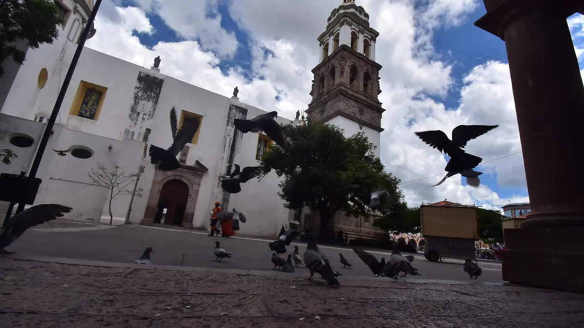 Evaluación-Irapuato 