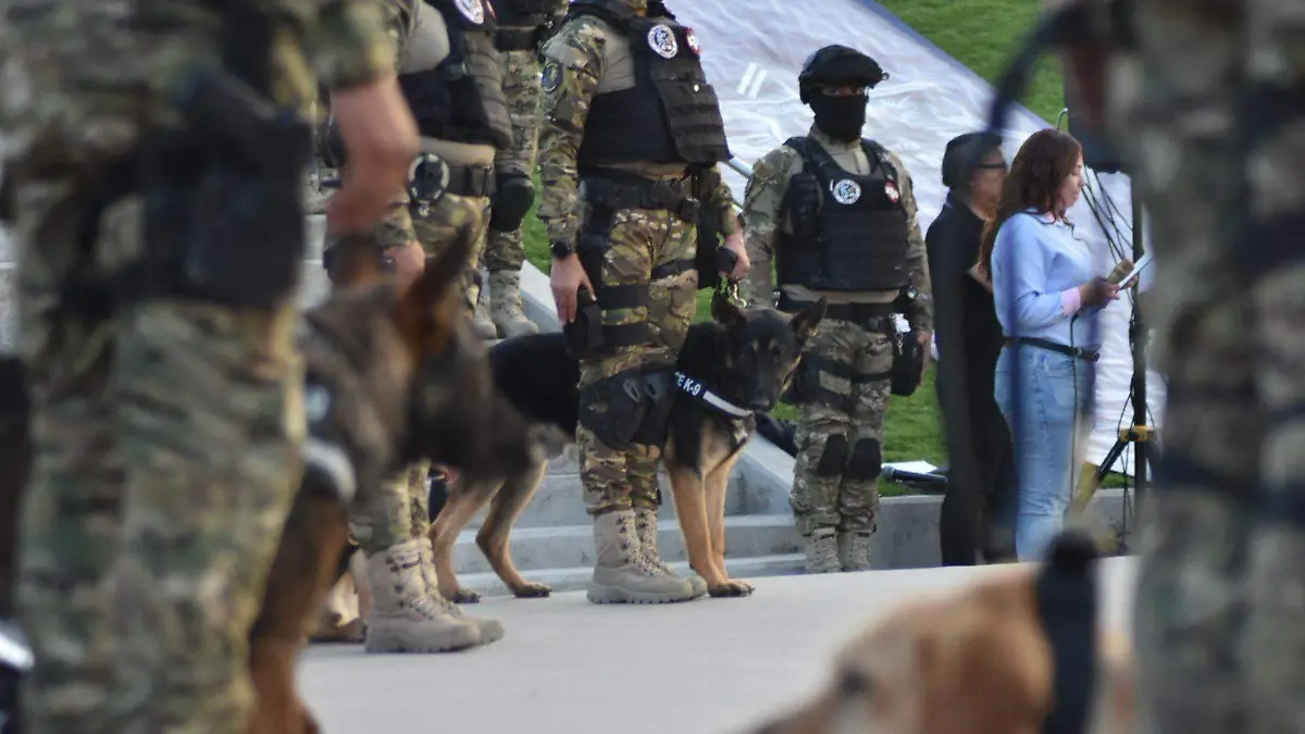 Binomios-caninos-generan-vínculos
