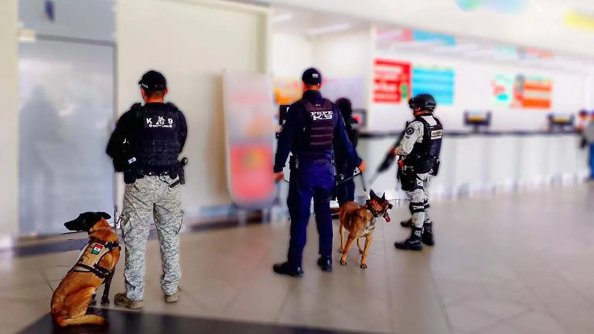 WhatsApp Image 2026-03-15 at 1.50.07 PM (1)