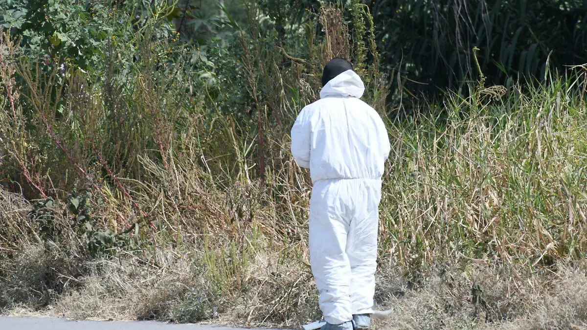 Seguridad en Irapuato