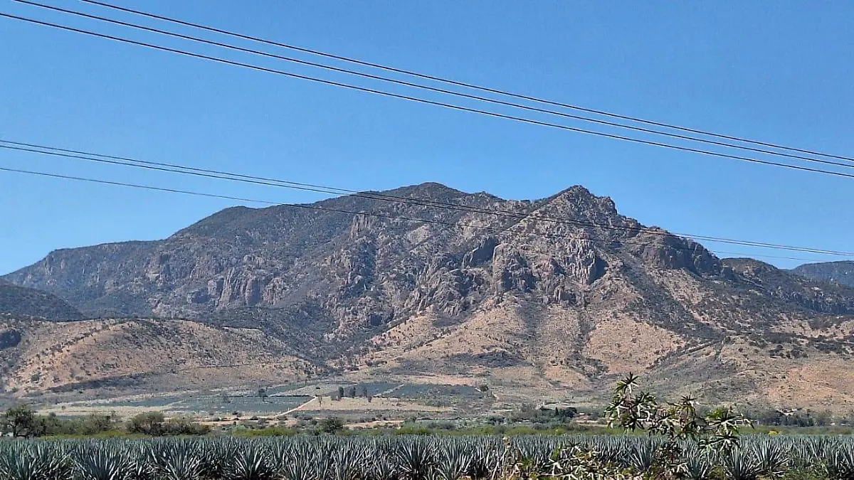 CUERAMARO Incendio Ecologia (2)