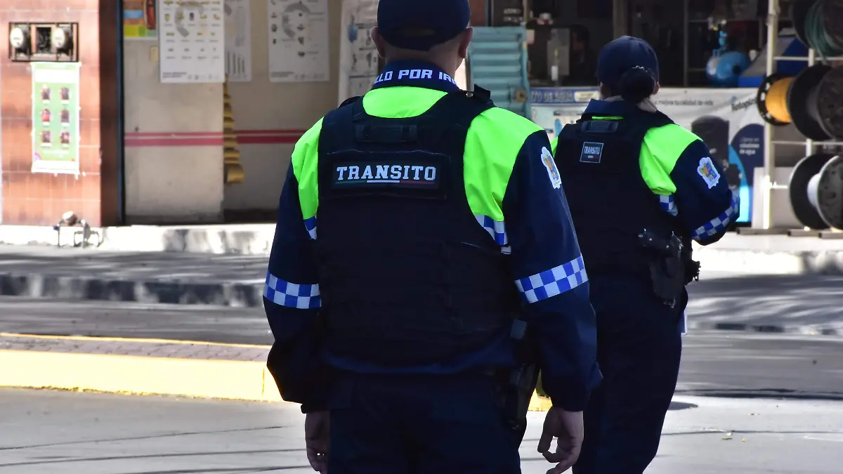 RODOLFO Y TRANSITO.- RICARDO SANCHEZ.- EL SOOL,DE IRAPUATO (2)