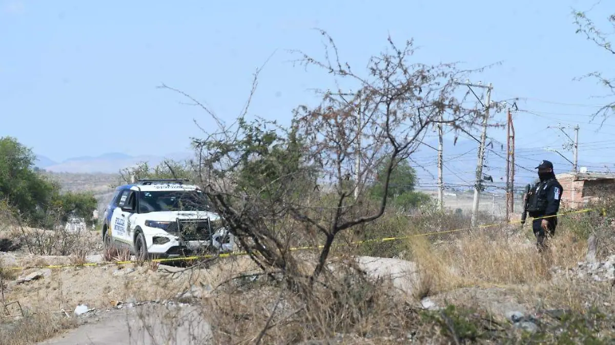 WhatsApp Image 2026-03-21 at 16.34.50