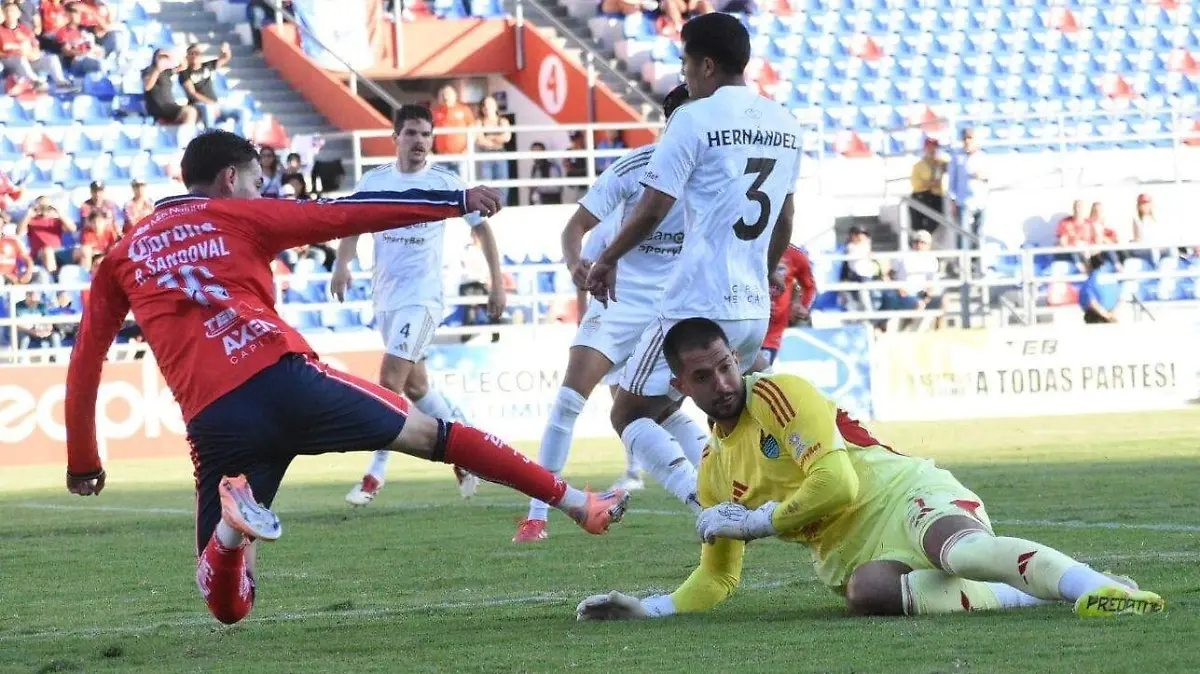 WhatsApp Image 2026-03-21 at 7.12.30 PM (2)