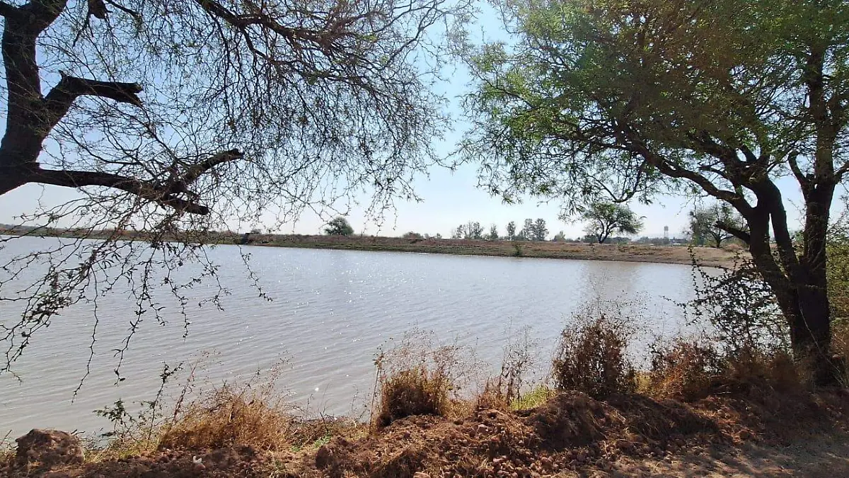 Secretario Jose Lara Lona sequia en GTO 7