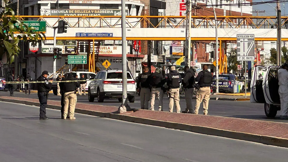 WhatsApp Image 2026-03-26 at 09.03.42