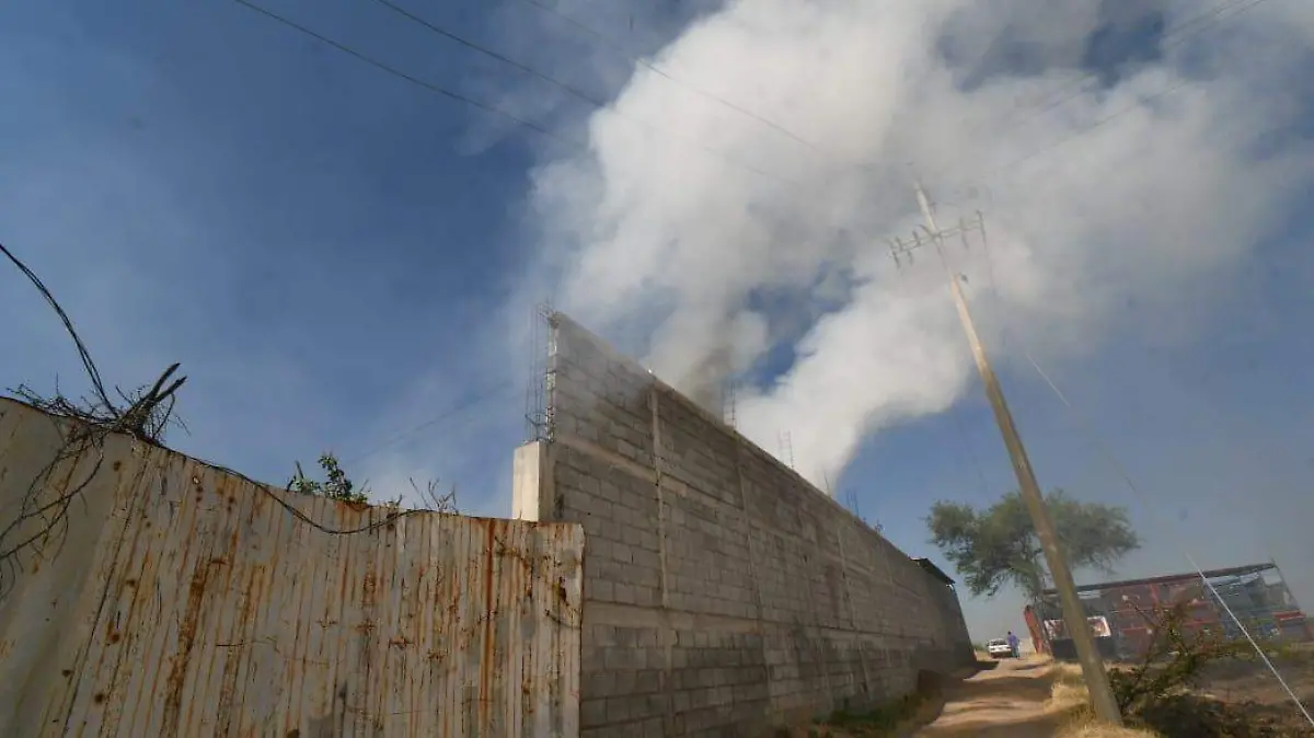 WhatsApp Image 2026-03-27 at 11.56.10