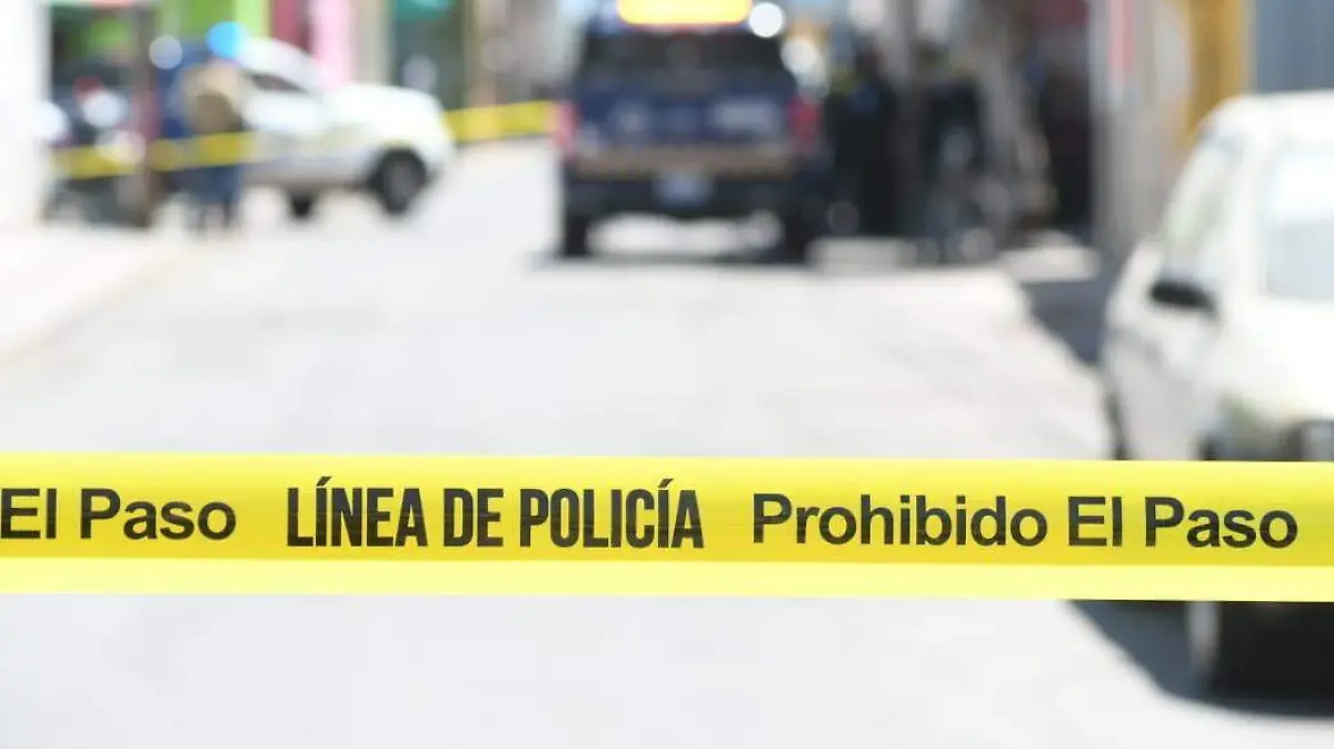 WhatsApp Image 2026-03-27 at 13.53.29