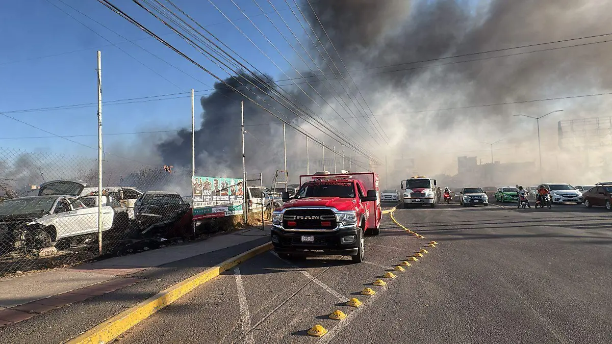 WhatsApp Image 2026-03-27 at 6.04.14 PM