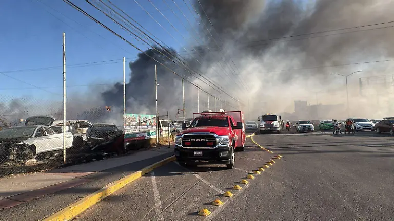 WhatsApp Image 2026-03-27 at 6.04.14 PM