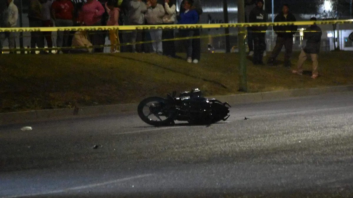 WhatsApp Image 2026-03-29 at 23.14.49