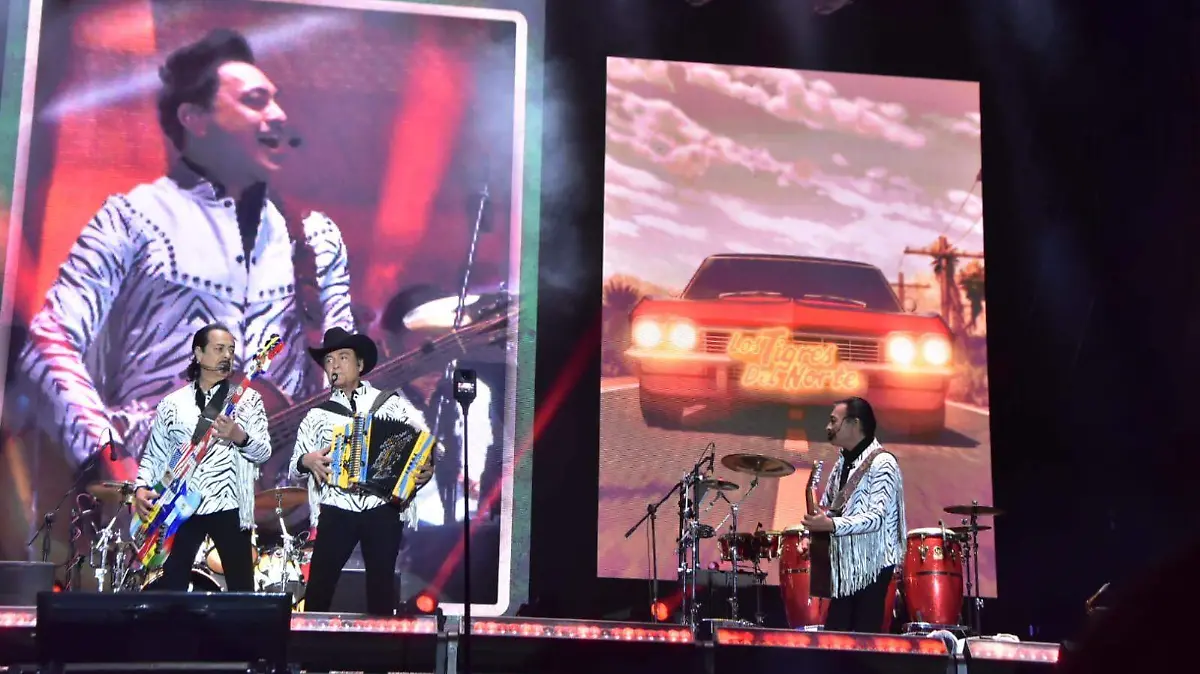 WhatsApp Image 2026-03-29 at 23.13.40