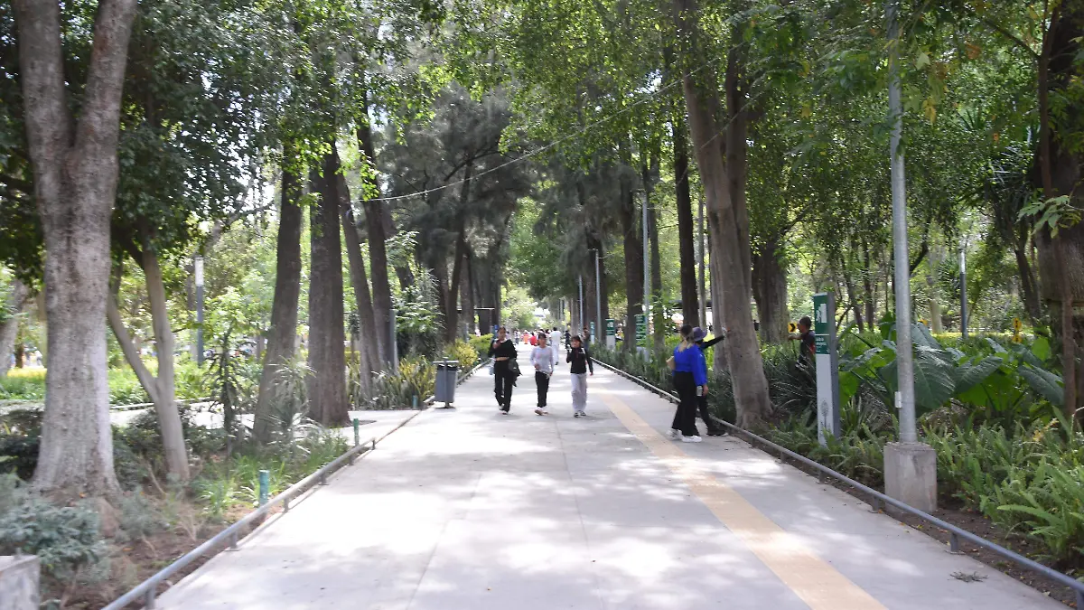 IREKUA JESUS GUTIERREZ EL SOL DE IRAPUATO (1)