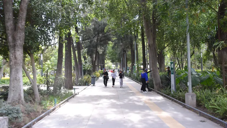 IREKUA JESUS GUTIERREZ EL SOL DE IRAPUATO (1)