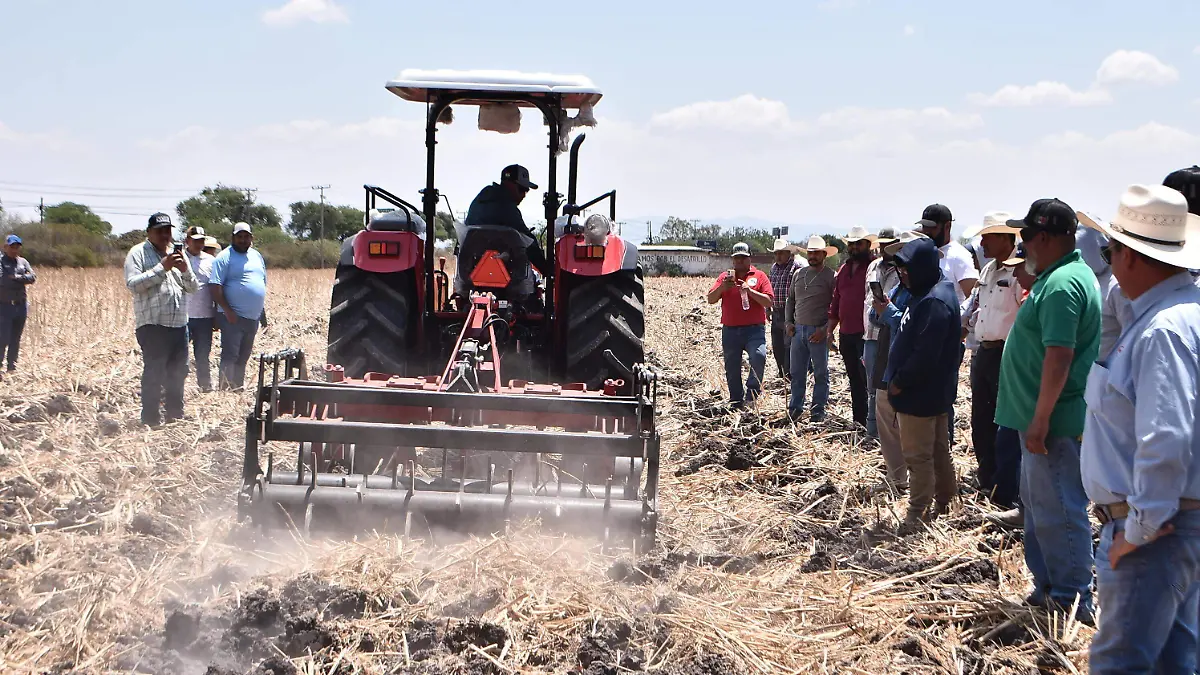 PENJAMO Agricultura regenerativa (9)