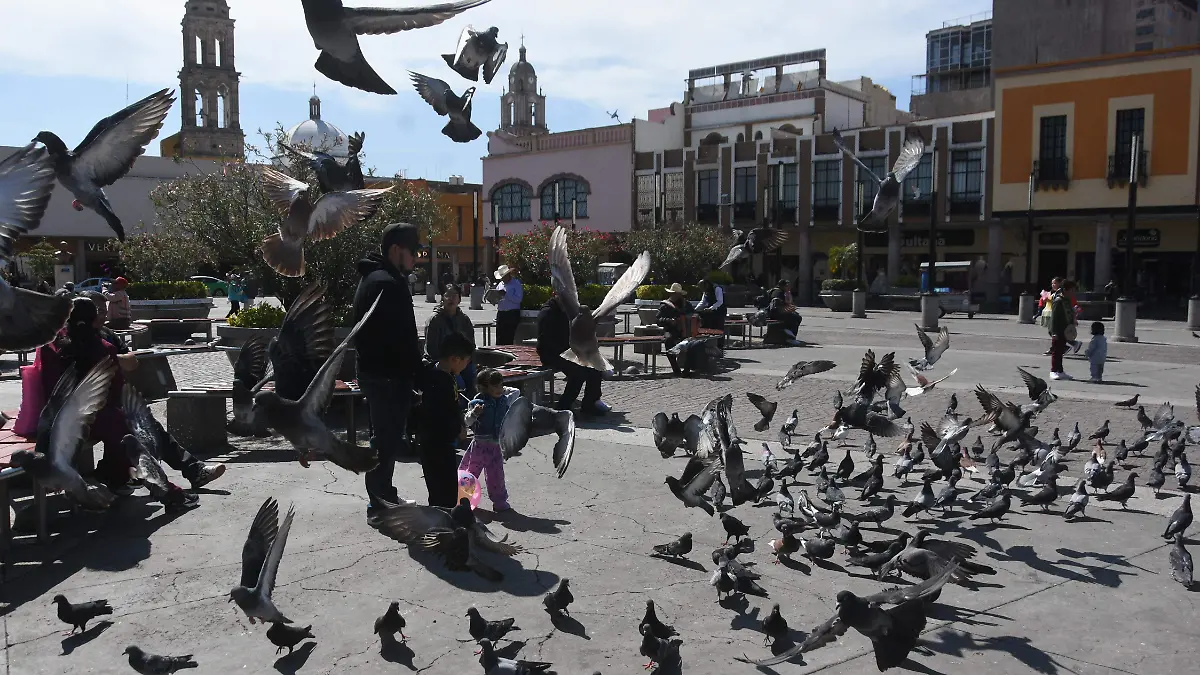 TURISMO JESUS GTZ EL SOL DE IRAPUATO (1)