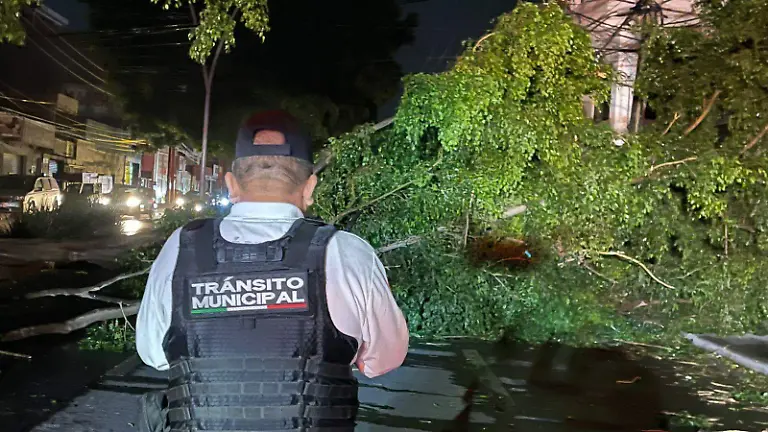 Bulevar Esperanza (3)