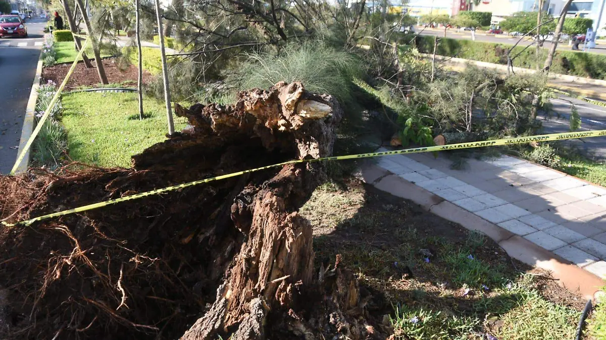 WhatsApp Image 2026-04-06 at 9.19.18 AM