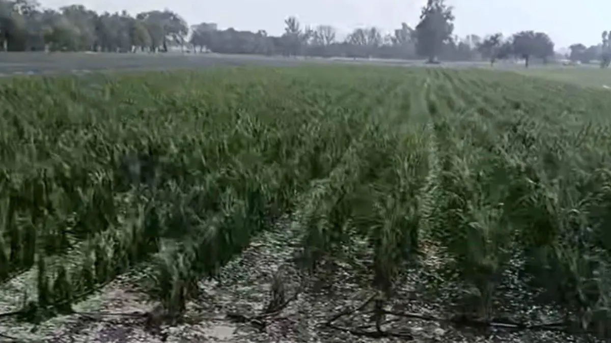 tormenta granizo (2)