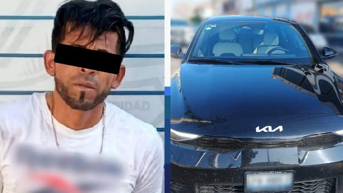 a0309599-09fa-478a-b1ef-27f35a58f02c