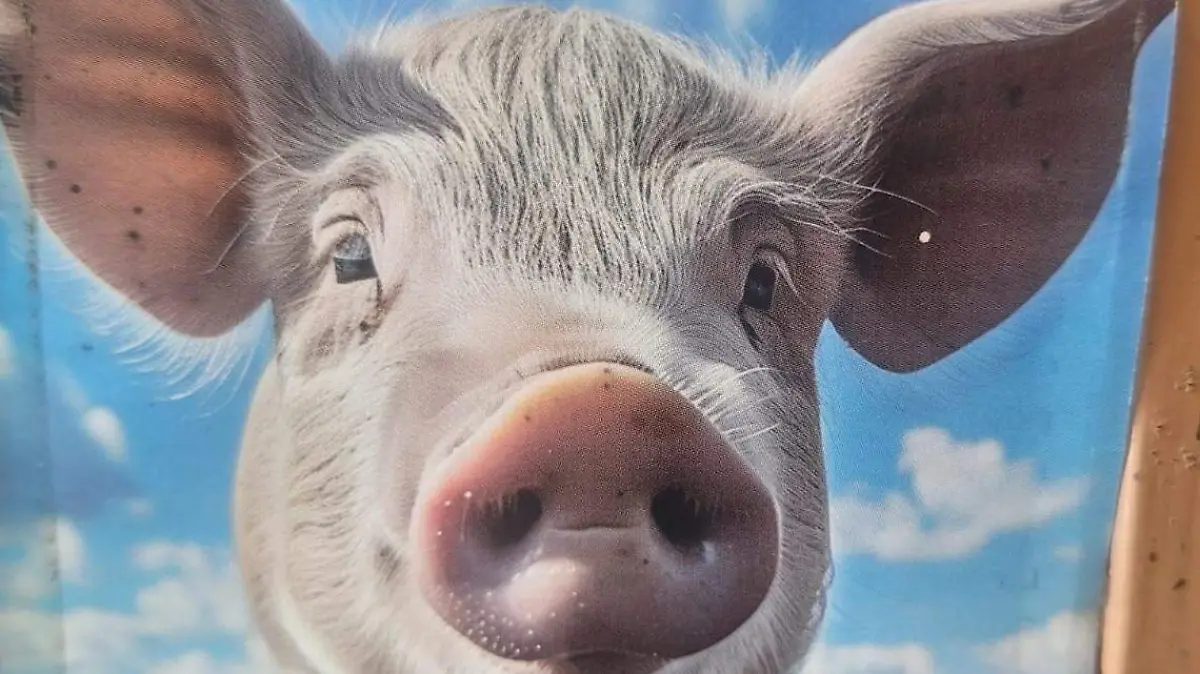 PENJAMO Porcicultores (2)