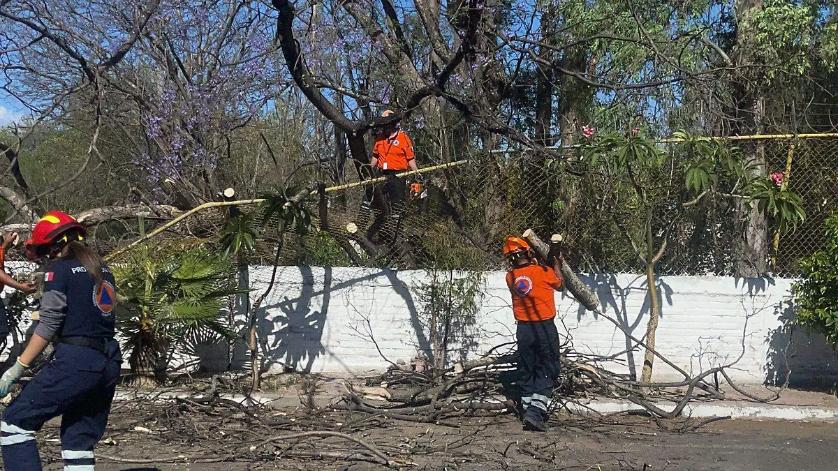 ef54cb31-33c0-48a7-ac89-1ff6bcb05e66