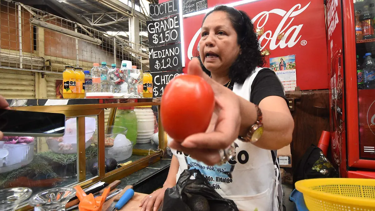 JITOMATE JESUS GTZ EL SOL DE IRAPUATO (6)