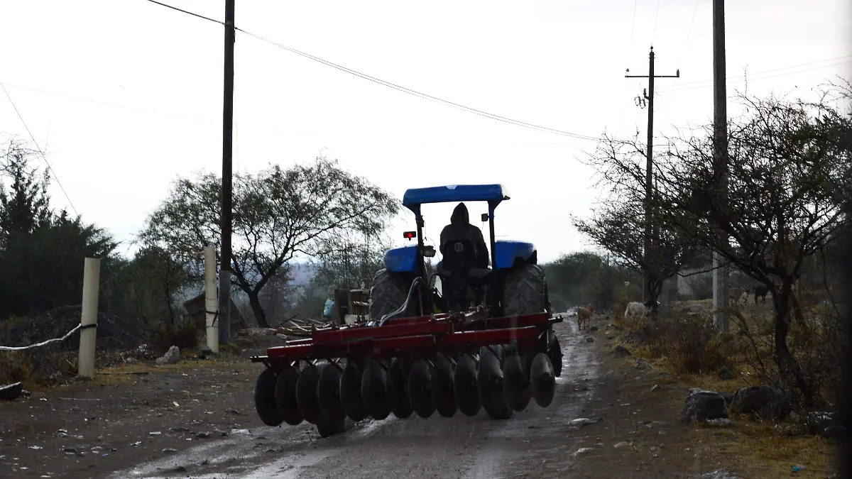 CAMINOS RURALES JESUS GTZ EL SOL DE IRAPUATO (1)