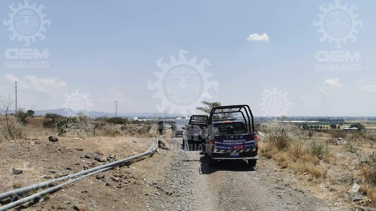 WhatsApp Image 2026-04-12 at 15.39.16