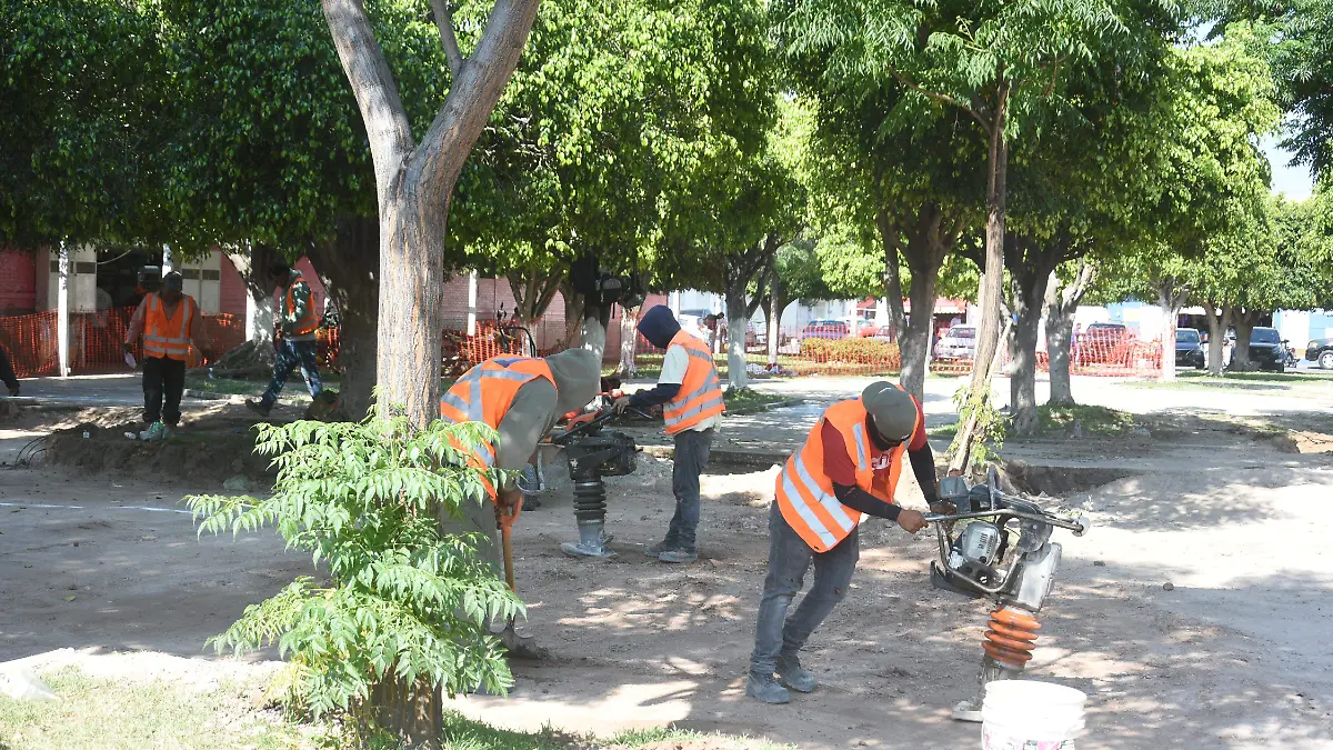 Trabajos en Jardin del mercado Benito Juarez Jesus Gutierrez El Sol de Irapuato (9)