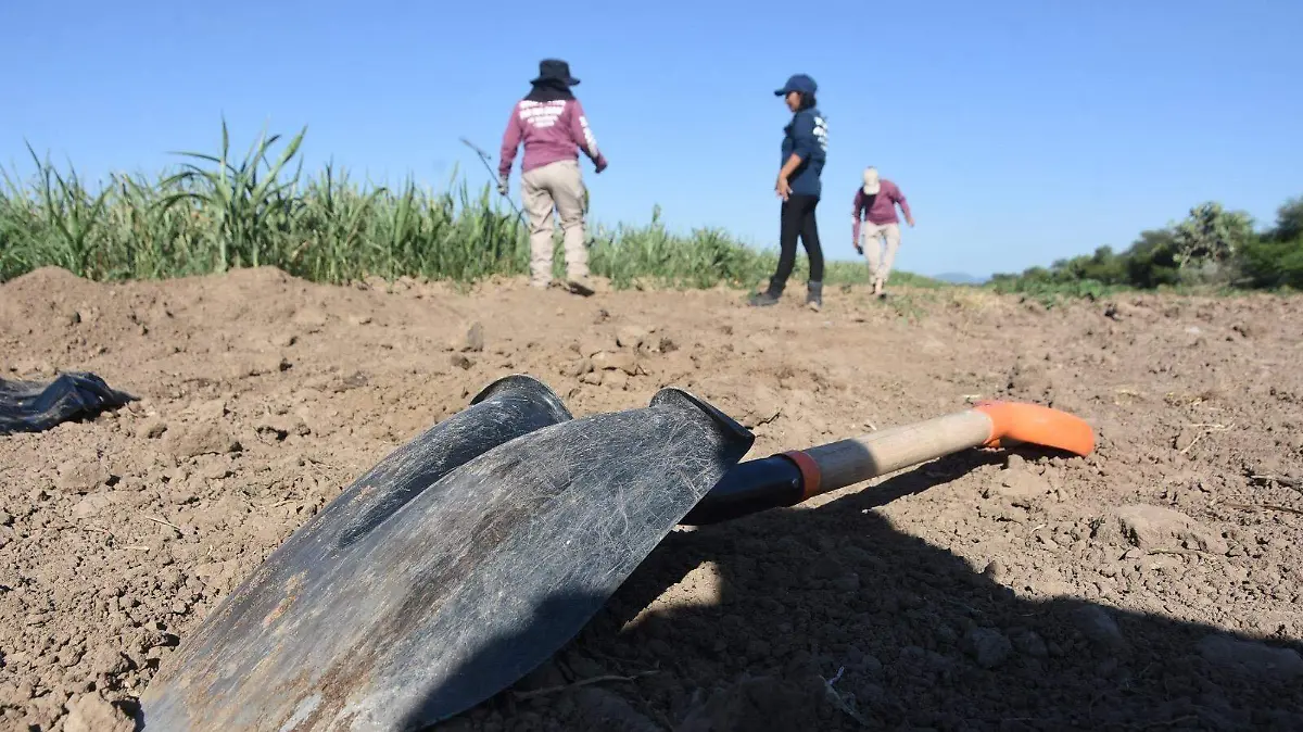 9c38db51-affc-411d-a824-5d213b3e6163