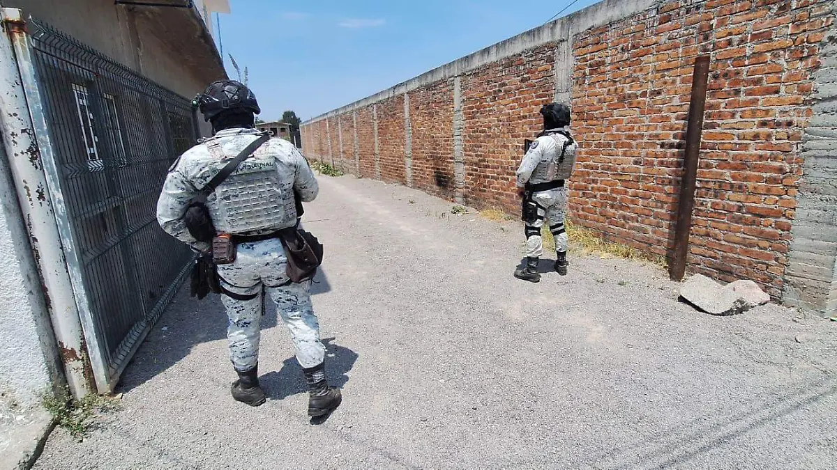 1a536bd1-afec-4a51-810b-e4e5157b8006