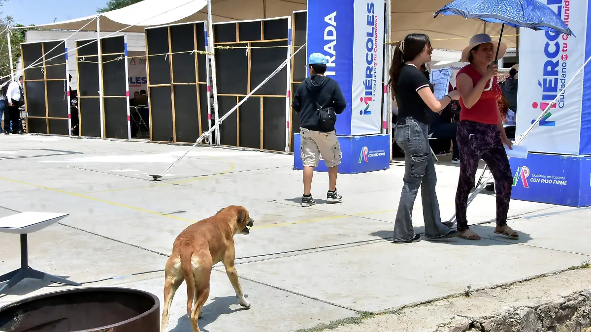 CANI ESTERILIZCION.- RICARDO SANCHEZ- EL SOL DE IRAPUATO (2)