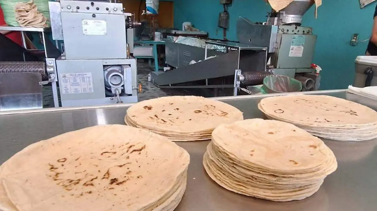 CUERAMARO Tortillerias (2)