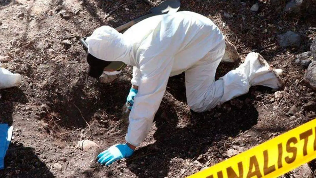 41734069-93ee-40f6-aa7f-91609ab88497